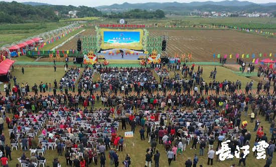 　　9月21日，咸寧市咸安區(qū)高橋蘿卜小鎮(zhèn)百畝草地上舉行了“慶豐收·迎小康”第三屆中國農(nóng)民豐收節(jié)湖北分會場咸寧主會場慶?；顒樱懈鹘甾r(nóng)民代表相聚白水畈的美麗田野，分享豐收的喜悅，慶祝屬于自己的節(jié)日。  　　開幕式上舉行了精彩的文藝演出，演出在舞蹈《慶豐收》中拉開序幕，歌舞《錦繡小康》呈現(xiàn)出咸寧各地欣欣向榮、脫貧致富奔小康的幸福場景。網(wǎng)紅歌曲《你莫走》、舞蹈《慶豐收》、歌舞《一起幸福》，一個個精彩的節(jié)目輪番上演，博得現(xiàn)場觀眾陣陣掌聲。  　　開幕活動現(xiàn)場還舉行了頒獎儀式，第二屆“美麗中國、鄉(xiāng)村振興”全國農(nóng)民詩歌邀請賽獲獎組織和個人，全市農(nóng)村人居環(huán)境整治示范村，省級農(nóng)業(yè)產(chǎn)業(yè)化工作先進(jìn)集體和先進(jìn)個人上臺領(lǐng)獎。現(xiàn)場還舉行了鄂南民俗展演、農(nóng)民趣味運動會、扶貧農(nóng)產(chǎn)品以及咸寧特色農(nóng)產(chǎn)品展銷等豐富多彩的活動?；鸨娜藲?，讓在場的展銷商賺得是盆滿缽滿。  　　咸寧市咸安區(qū)鑫達(dá)種養(yǎng)專業(yè)合作社理事長萬永輝：今年家里的香菇都豐收了，一上午我就賣出了一萬多元，我們合作社采取的是“合作社+農(nóng)戶”的模式，也帶領(lǐng)了20多戶貧困戶脫貧了。  　　咸寧市致遠(yuǎn)種植專業(yè)合作社理事長 吳海兵:我們今年是真真正正地豐收了，我們生姜的價格足足翻了三倍，跟著我們一起的貧困戶也平均增收了3000元左右。  　　而這一系列的活動，都是在蘿卜小鎮(zhèn)的草地上進(jìn)行的，草地作舞臺、草地搞展示、草地上比賽等等，這數(shù)百畝草地，此時此刻成為了咸寧農(nóng)民們慶祝豐收的歡樂場。  　　咸寧市咸安區(qū)高橋鎮(zhèn)黨委書記王順榮：今年的湖北分會場在我們高橋蘿卜小鎮(zhèn)舉辦，我感到很榮幸，我們從一顆蘿卜做起，以白水畈蘿卜為核心品牌，打造白水畈"我家菜園"蔬菜基地及旅游觀光體驗中心，發(fā)展綠色農(nóng)業(yè)、生態(tài)旅游，增加產(chǎn)業(yè)開發(fā)的綜合效益，創(chuàng)建蘿卜特色小鎮(zhèn)，走出了一條農(nóng)業(yè)、旅游相結(jié)合的新路，推動高橋鎮(zhèn)一二三產(chǎn)業(yè)融合發(fā)展。  　　鄉(xiāng)親們說，這在以前是想都不敢想的，高橋鎮(zhèn)蝸居山里，太偏遠(yuǎn)又沒有資源優(yōu)勢，想發(fā)展太難。而現(xiàn)在這一切的悄然改變，得益于2017年10月13日，咸安區(qū)政府與鄂旅投公司正式簽署的《131軍旅小鎮(zhèn)+白水畈田園綜合體旅游開發(fā)投資合作協(xié)議》，鄂旅投公司將投資30億元，在高橋鎮(zhèn)打造131軍旅小鎮(zhèn)和白水畈田園綜合體旅游開發(fā)項目。項目共分為131軍旅小鎮(zhèn)、白水畈美麗鄉(xiāng)村、特色農(nóng)業(yè)示范、旅游綜合體四大板塊，打造旅游綜合服務(wù)區(qū)、澄水洞軍事展示區(qū)、青少年國防教育基地、鐵血軍事樂園區(qū)、戰(zhàn)狼訓(xùn)練基地、美麗村灣民俗區(qū)、四季瓜果示范區(qū)、農(nóng)耕文化展示區(qū)、特色商業(yè)街區(qū)和康養(yǎng)度假區(qū)十大功能區(qū)。  　　咸寧市咸安區(qū)高橋鎮(zhèn)黨委書記王順榮：我們引進(jìn)鄂旅投，打造蘿卜小鎮(zhèn)，目前建設(shè)有蘿卜小鎮(zhèn)科普館、蘿卜鄉(xiāng)學(xué)院、蘿卜酒店等休閑旅游項目，十一馬上到了，也歡迎廣大游客前來游玩。  　　今年是決勝全面建成小康社會、決戰(zhàn)脫貧攻堅之年。咸寧市本著"儉樸、祥和、歡樂，農(nóng)民參與，農(nóng)民唱主角"的辦節(jié)思路，而此屆中國農(nóng)民豐收節(jié)辦節(jié)費用也是倍減。  　　農(nóng)為邦本，本固邦寧。今年，面對重大疫情和特大洪澇災(zāi)害，咸寧市扎實做好“六穩(wěn)”工作、落實“六?！比蝿?wù)，克服重重困難，推動農(nóng)業(yè)實現(xiàn)持續(xù)平穩(wěn)發(fā)展，形成了茶葉、油茶、中藥材等12個特色農(nóng)業(yè)主導(dǎo)產(chǎn)業(yè)，“全國一村一品示范村鎮(zhèn)”發(fā)展到14家，國家級、省級農(nóng)業(yè)產(chǎn)業(yè)化龍頭企業(yè)達(dá)到55家。尤其是糧食產(chǎn)量預(yù)計達(dá)118萬噸、蔬菜產(chǎn)量預(yù)計達(dá)260萬噸，生豬預(yù)計出欄183.52萬頭，農(nóng)業(yè)生產(chǎn)再獲豐收，糧食安全有效保障，讓農(nóng)民的腰包更鼓、家園更美、生活更甜，為加快實施鄉(xiāng)村振興戰(zhàn)略、推動咸寧高質(zhì)量發(fā)展提供堅實保障。